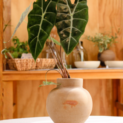 Maceta jarrón mini de barro