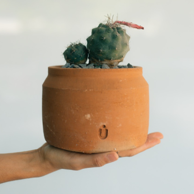 Maceta lechera baja mini