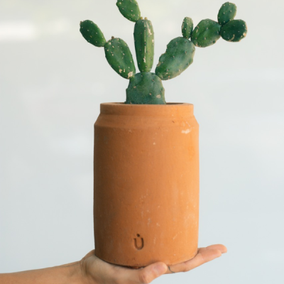 Maceta lechera larga mini