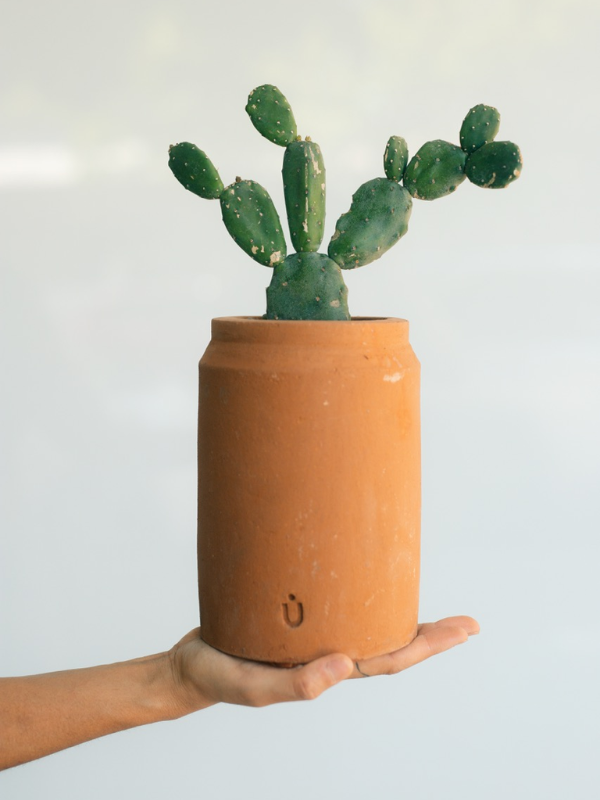 Maceta lechera larga mini