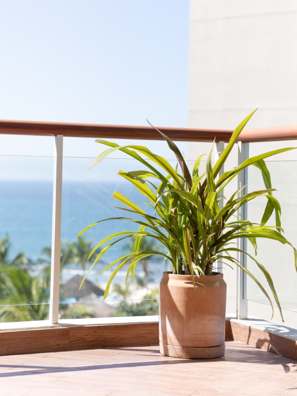 Maceta lechera chica